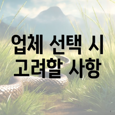 업체 선택 시 고려할 사항