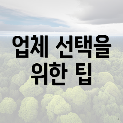 업체 선택을 위한 팁