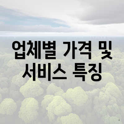 업체별 가격 및 서비스 특징