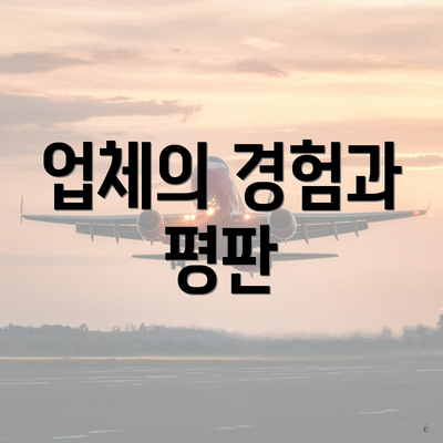 업체의 경험과 평판