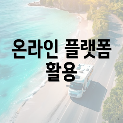 온라인 플랫폼 활용