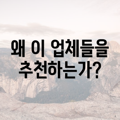 왜 이 업체들을 추천하는가?