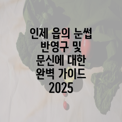 인제 읍의 눈썹 반영구 및 문신에 대한 완벽 가이드 2025