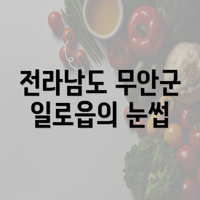 전라남도 무안군 일로읍의 눈썹