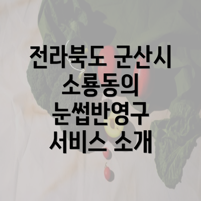 전라북도 군산시 소룡동의 눈썹반영구 서비스 소개