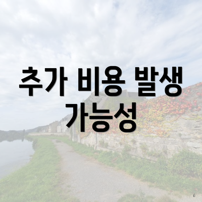 추가 비용 발생 가능성