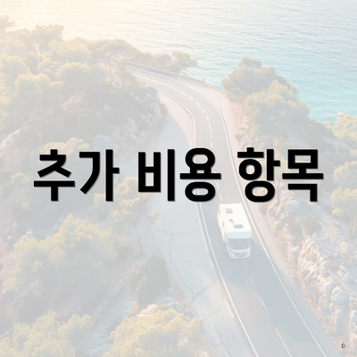 추가 비용 항목