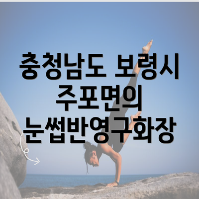 충청남도 보령시 주포면의 눈썹반영구화장