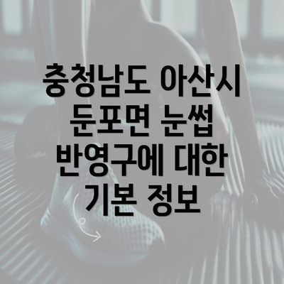 충청남도 아산시 둔포면 눈썹 반영구에 대한 기본 정보