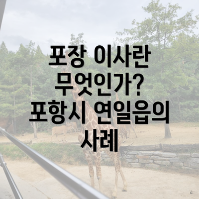 포장 이사란 무엇인가? 포항시 연일읍의 사례