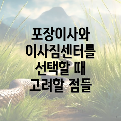 포장이사와 이사짐센터를 선택할 때 고려할 점들