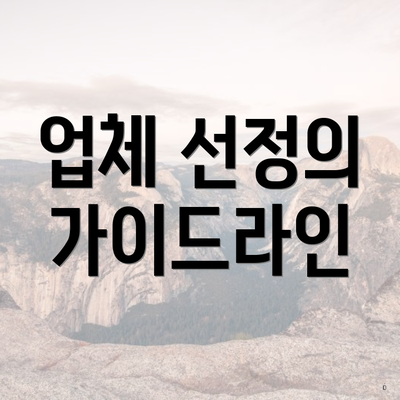 업체 선정의 가이드라인