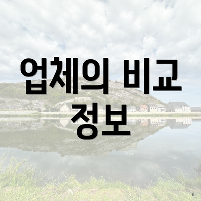 업체의 비교 정보